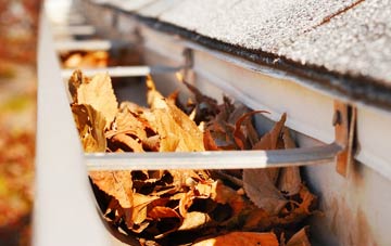 Clearwood gutter cleaning companies