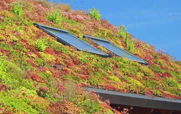 Clearwood living roof systems
