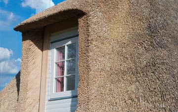 Clearwood thatch roof disadvantages