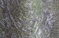 Clearwood fibreglass roof work